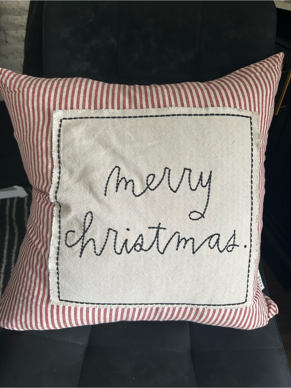 Rae Dunn feather filled Christmas throw pillow